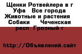 Щенки Ротвейлера в г.Уфа - Все города Животные и растения » Собаки   . Чеченская респ.,Грозный г.